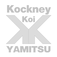 Kockney Koi logo